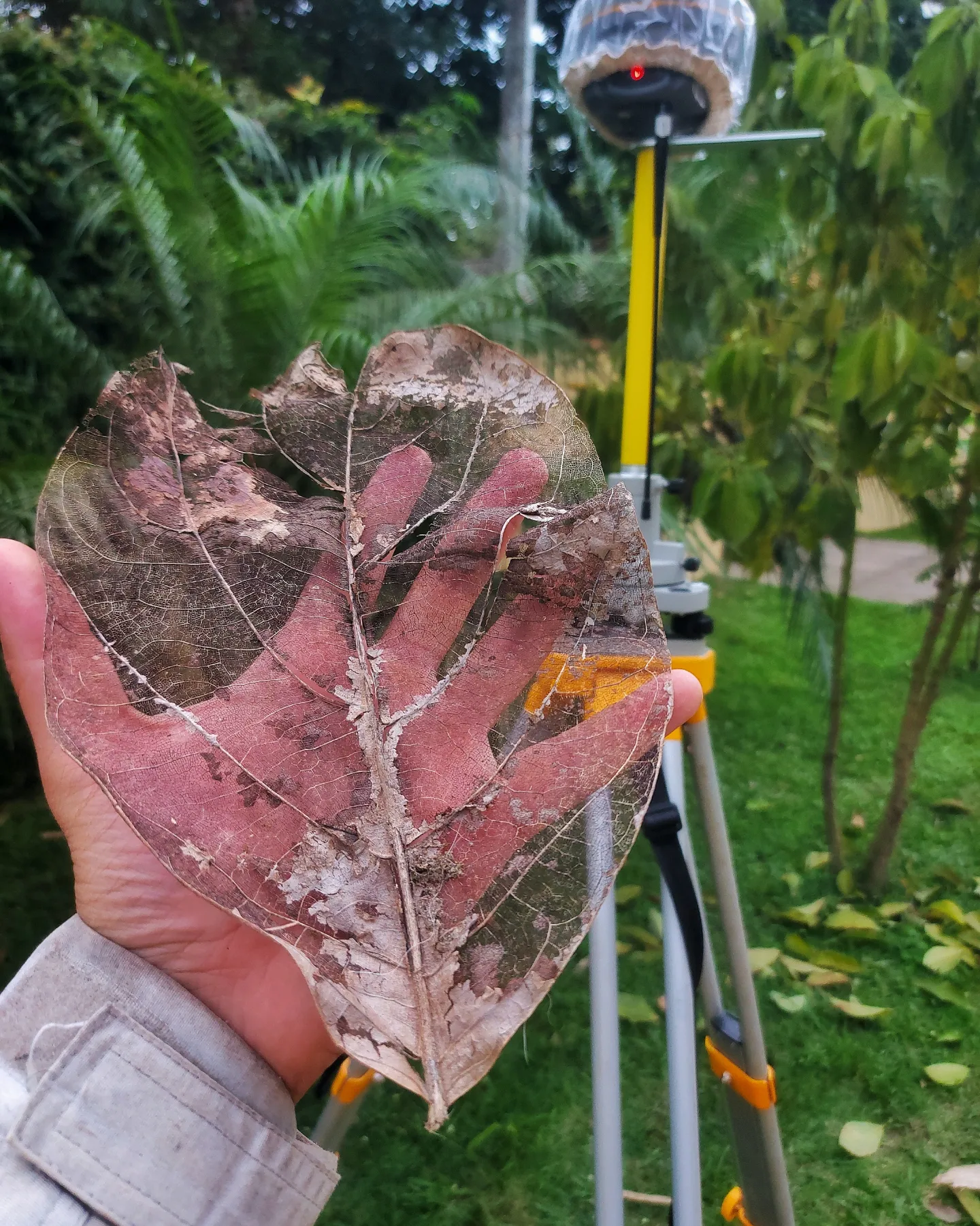 GPS de precisão com equipamento de campo